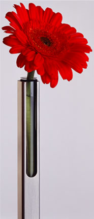 Taeser Tampon-Spender mit roter Blume